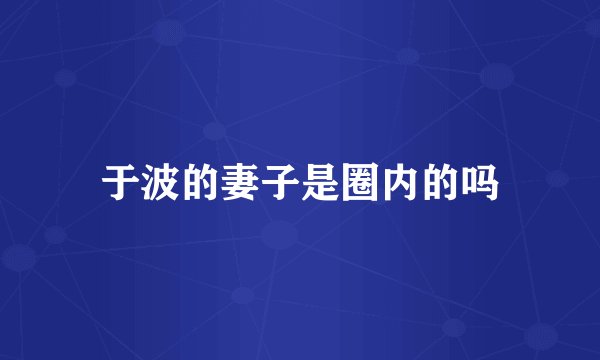 于波的妻子是圈内的吗