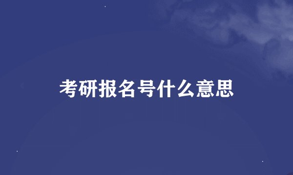 考研报名号什么意思