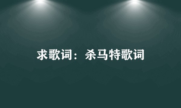求歌词：杀马特歌词