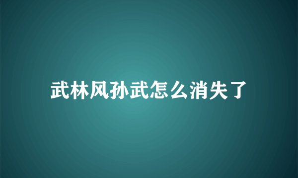 武林风孙武怎么消失了