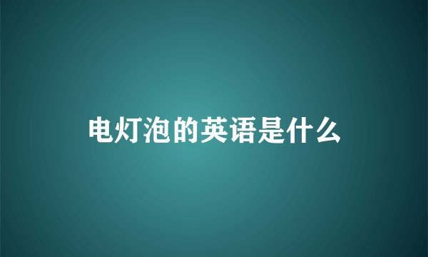 电灯泡的英语是什么