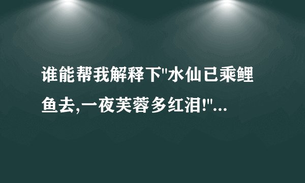 谁能帮我解释下