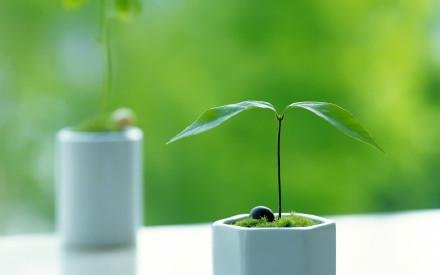 这个寒假，张桂梅又踏上了家访路，是什么让她如此坚持？