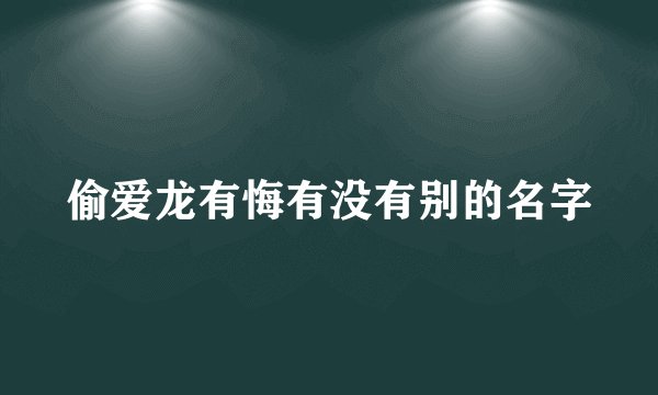 偷爱龙有悔有没有别的名字