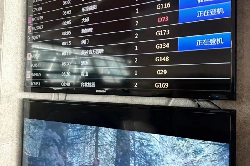 flight用法和固定搭配