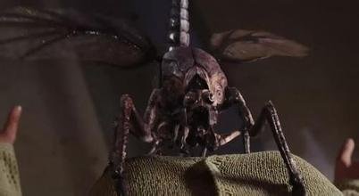 迷雾的影片评价