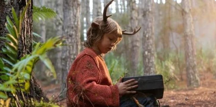 鹿角男孩为什么有鹿保护他