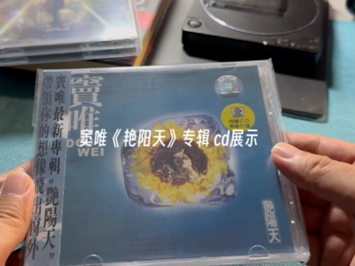 窦唯经典10首
