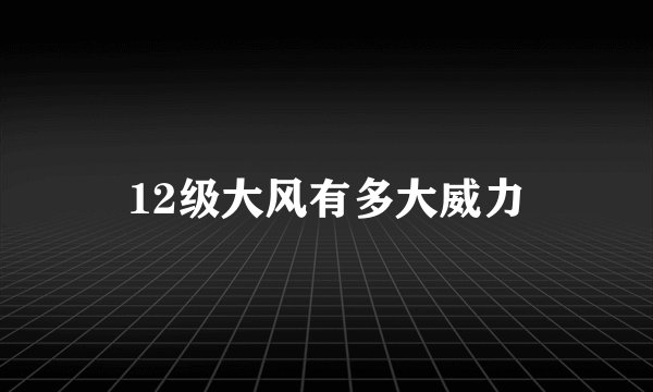12级大风有多大威力
