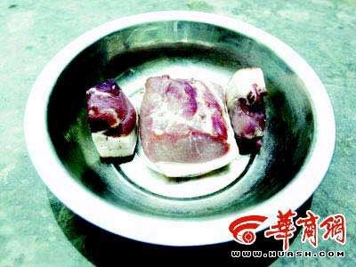 磷光发光杆菌的介绍