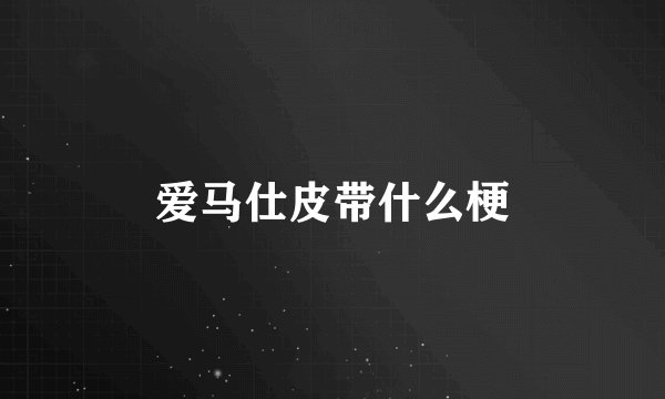 爱马仕皮带什么梗