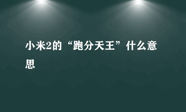 小米2的“跑分天王”什么意思