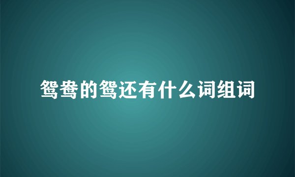 鸳鸯的鸳还有什么词组词