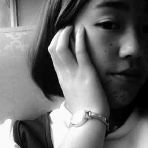 张文文的参加节目