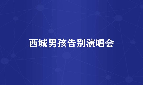 西城男孩告别演唱会