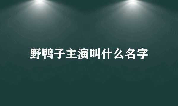 野鸭子主演叫什么名字