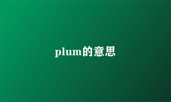 plum的意思