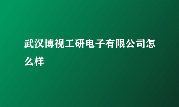 武汉博视工研电子有限公司怎么样