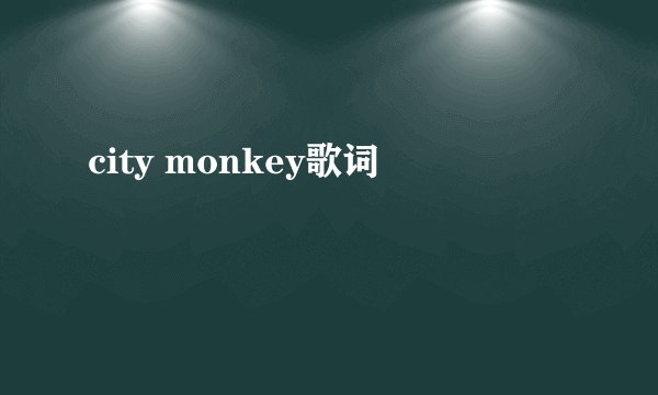 city monkey歌词