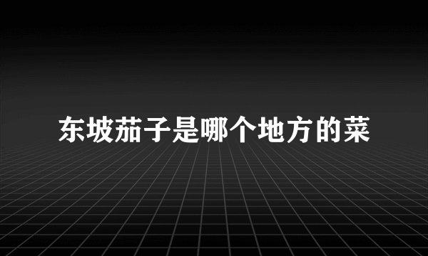 东坡茄子是哪个地方的菜