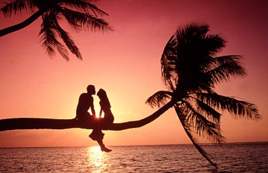 1123代表什么意思