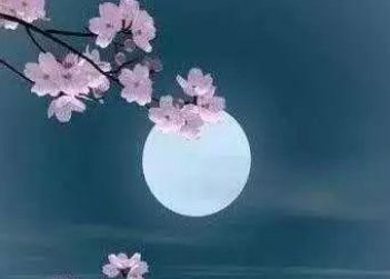 白月光代表什么感情？