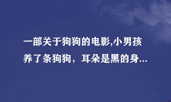 一部关于狗狗的电影,小男孩养了条狗狗，耳朵是黑的身上是白色的长毛狗，狗狗很乖，大小便都会去洗手间