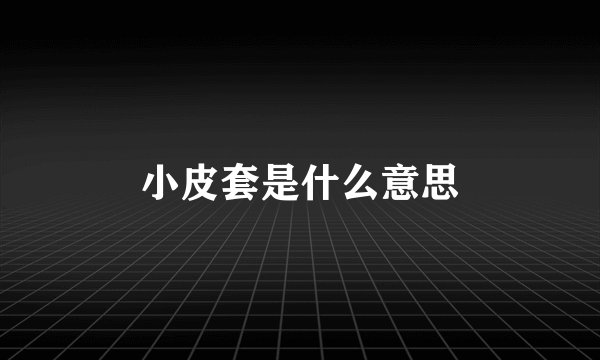 小皮套是什么意思