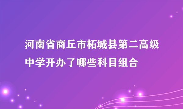 河南省商丘市柘城县第二高级中学开办了哪些科目组合