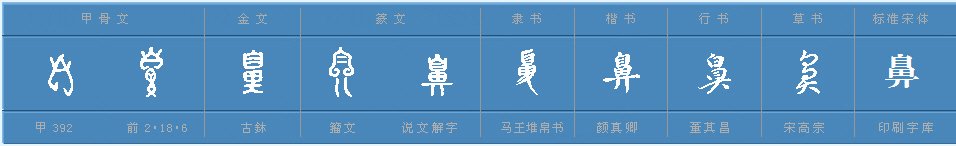 鼻字的偏旁是什么？