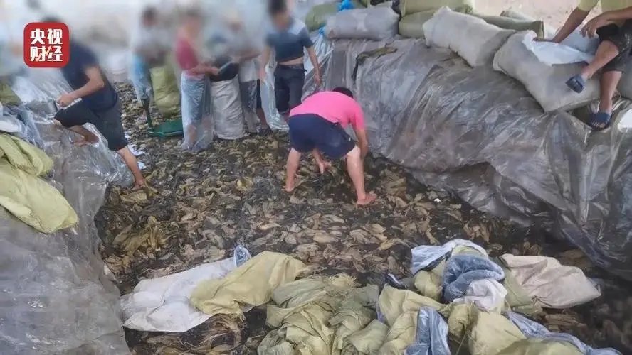 土坑酸菜后遗症出现了，波及13万人，他们赖以生存的生计该如何走上正轨？