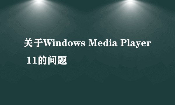 关于Windows Media Player 11的问题