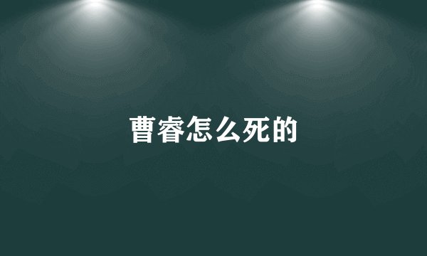 曹睿怎么死的