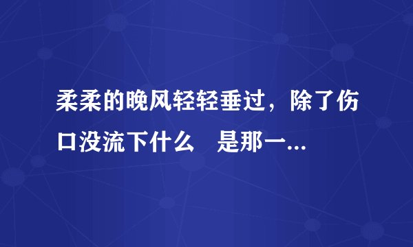 柔柔的晚风轻轻垂过,除了伤口没流下什么 是那一首歌里的?