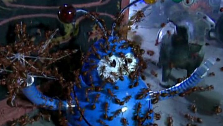 电视剧《绝对计划》的主演都有谁？现在谁的发展最好？