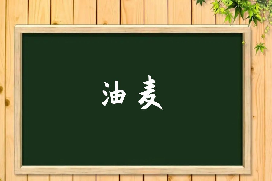 油麦网络语言什么意思