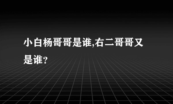 小白杨哥哥是谁,右二哥哥又是谁？
