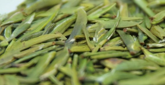 绿茶包括哪些茶叶品种?