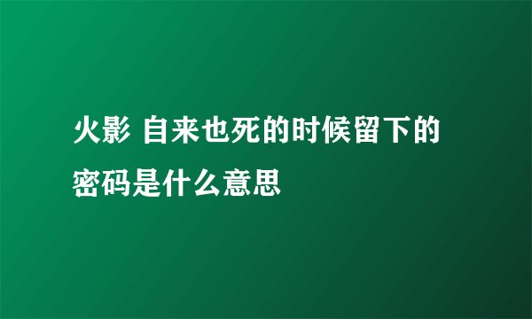 火影 自来也死的时候留下的密码是什么意思