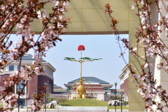 天津中医药大学排名