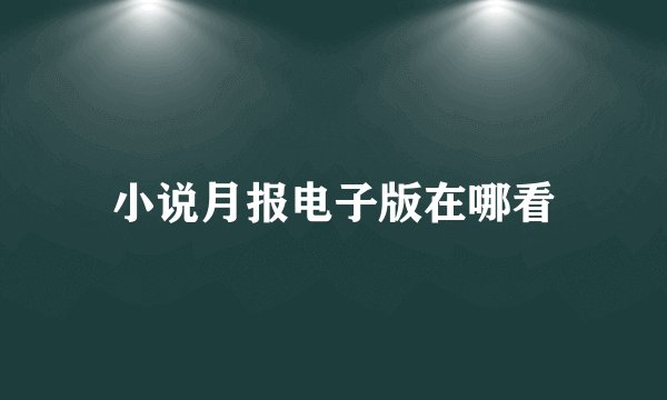 小说月报电子版在哪看