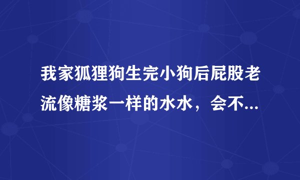 我家狐狸狗生完小狗后屁股老流像糖浆一样的水水，会不会有事啊？还有咸阳哪家宠物医院好？谢谢了！