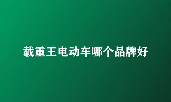 载重王电动车哪个品牌好