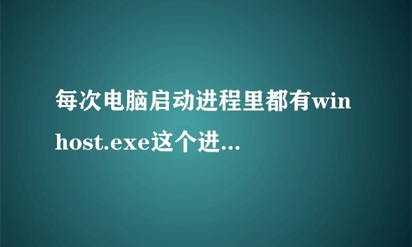 每次电脑启动进程里都有winhost.exe这个进程。那位知道他是什么，如何删除。