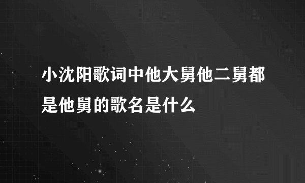 小沈阳歌词中他大舅他二舅都是他舅的歌名是什么