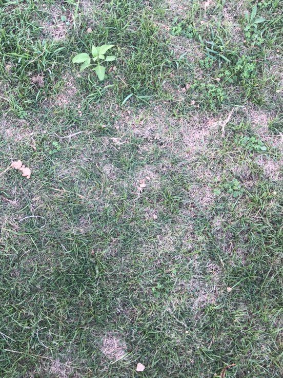 男孩说可能吧是什么意思？