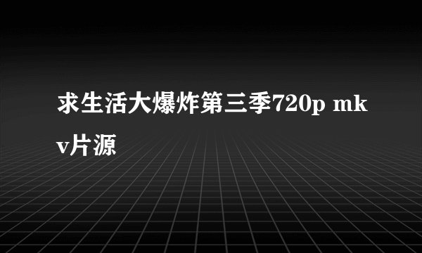 求生活大爆炸第三季720p mkv片源