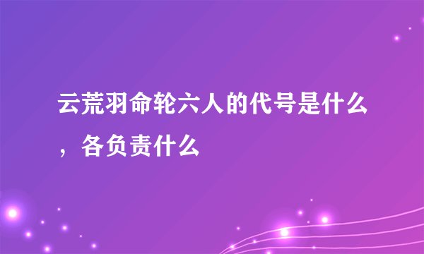 云荒羽命轮六人的代号是什么，各负责什么