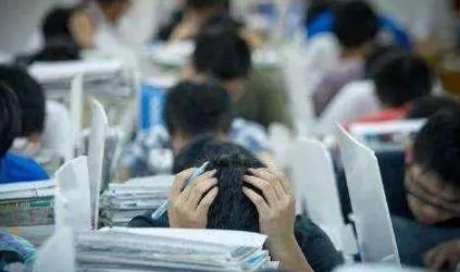 中考分数查询电话