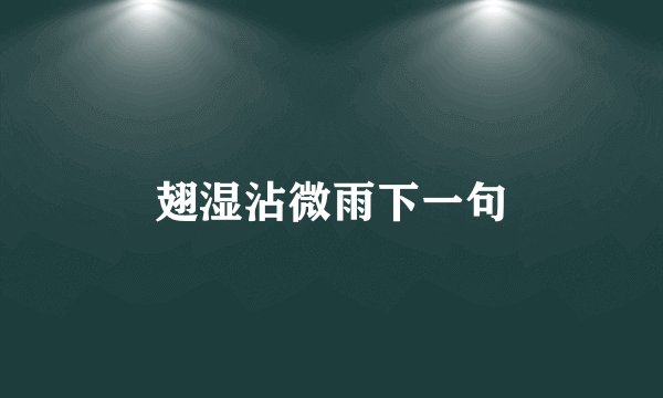 翅湿沾微雨下一句